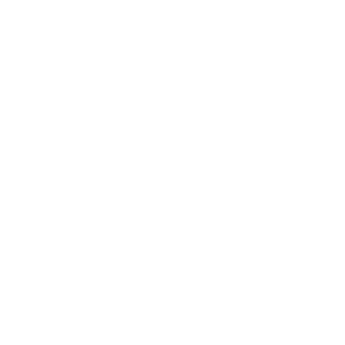 Support Women DJs logo